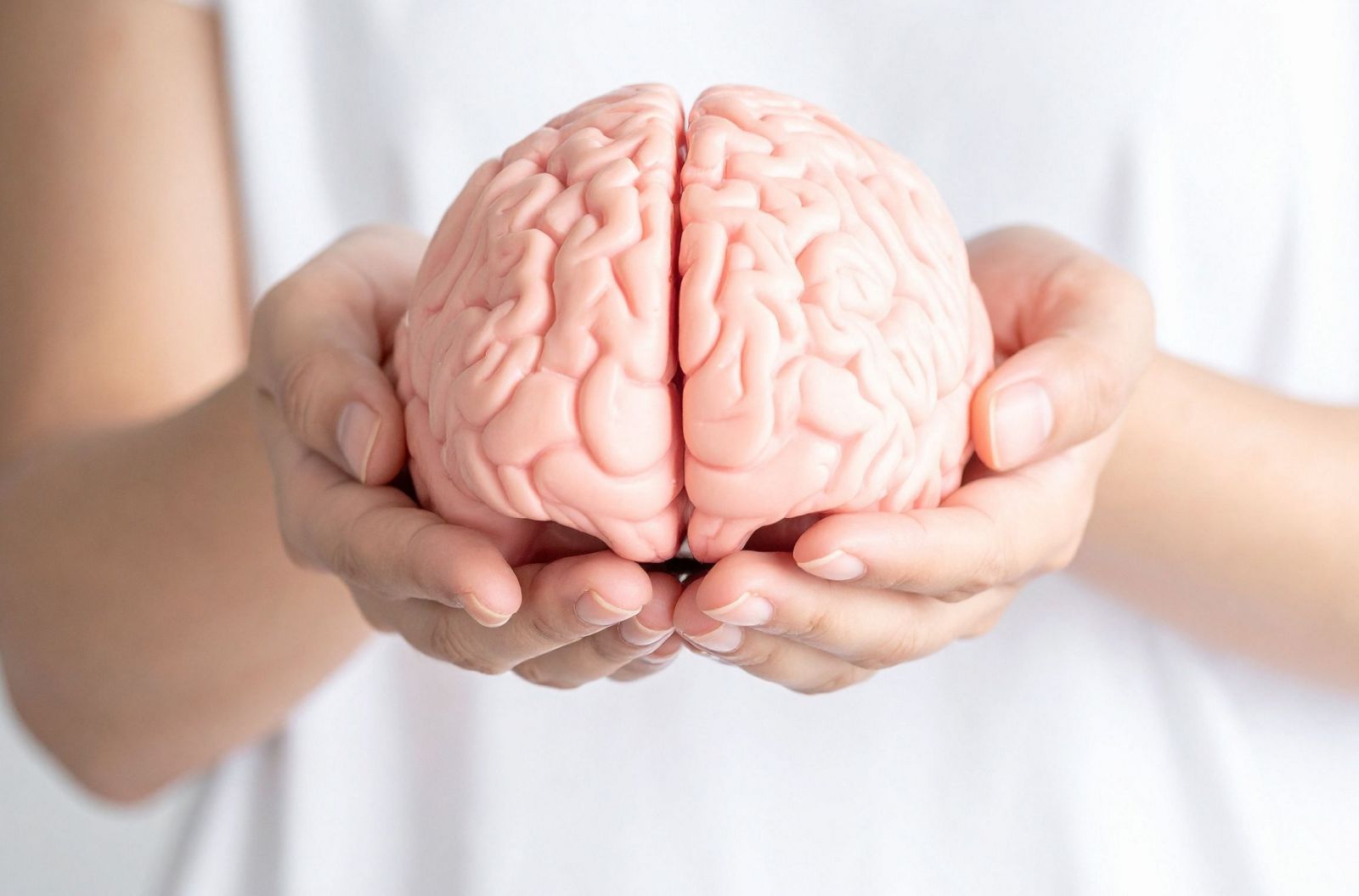 Hormone estrogen và ảnh hưởng của nó lên não bộ và trí nhớ ở phụ nữ