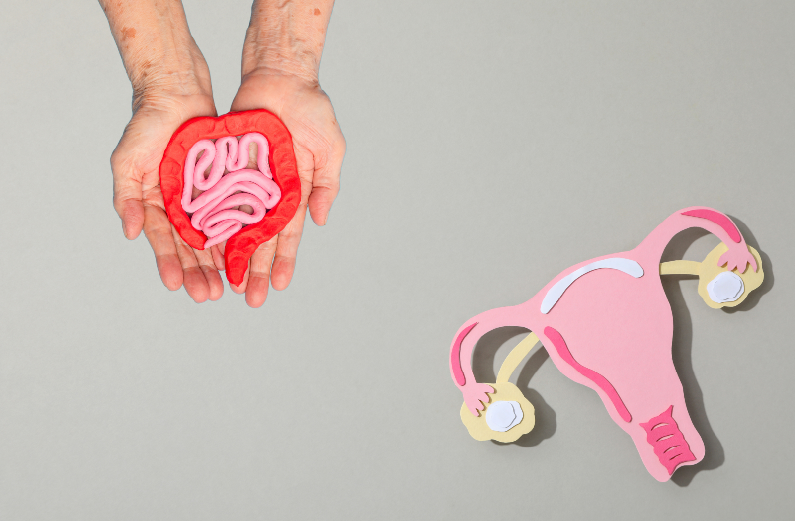 Hệ vi sinh vật đường ruột ảnh hưởng đến cân bằng nội tiết tố nữ