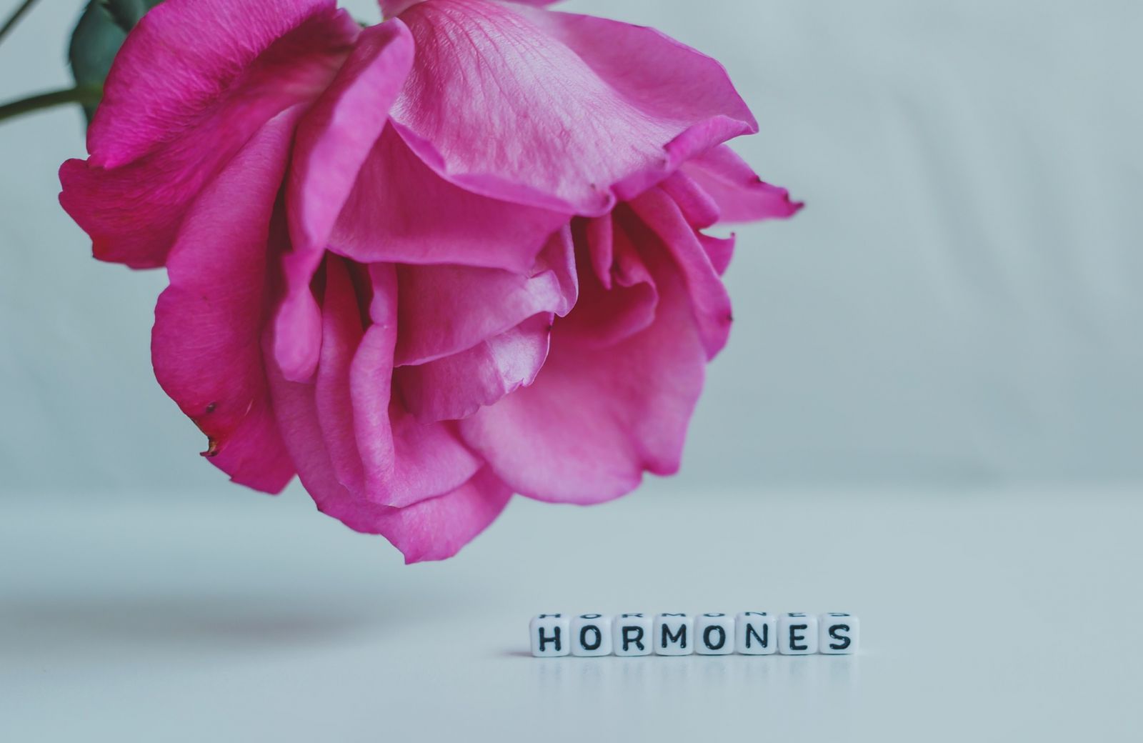 Thay đổi hormone có thể ảnh hưởng đến chất lượng giấc ngủ ở phụ nữ