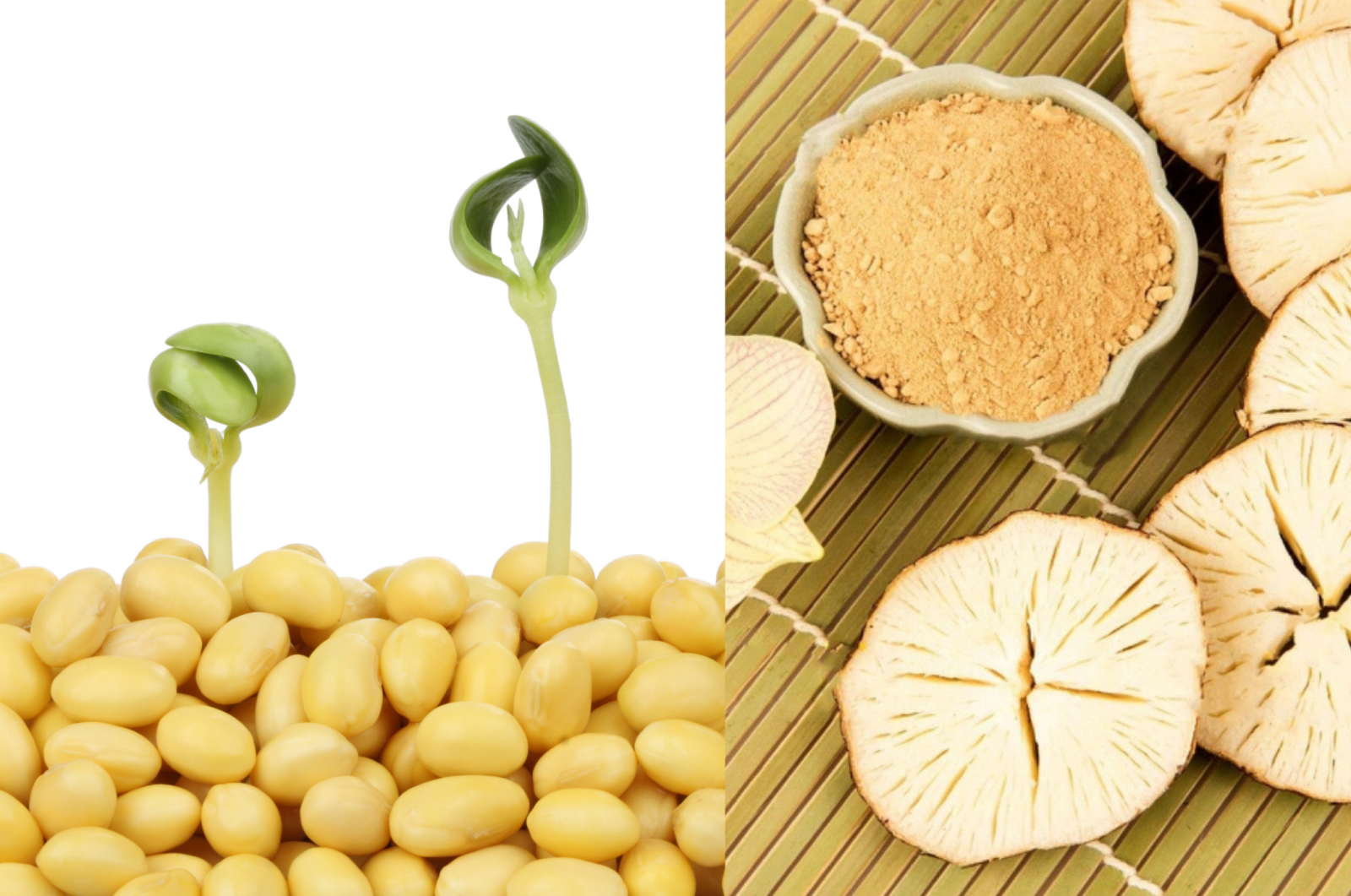 Thảo dược tự nhiên giúp cân bằng nội tiết tố nữ