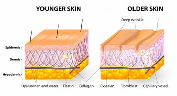 Việc bổ sung Collagen là rất cần thiết cho cơ thể